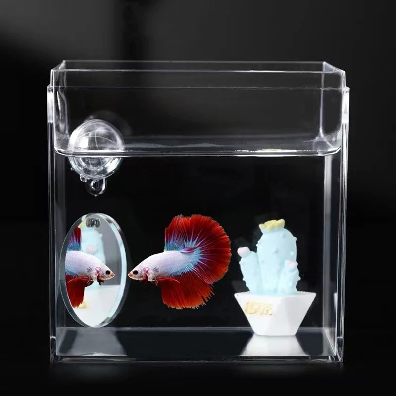Acrylic Aquarium Betta Mirror Fish Tank Floating Round Mirror For Fish Betta Flowerhorn Cichlid Training