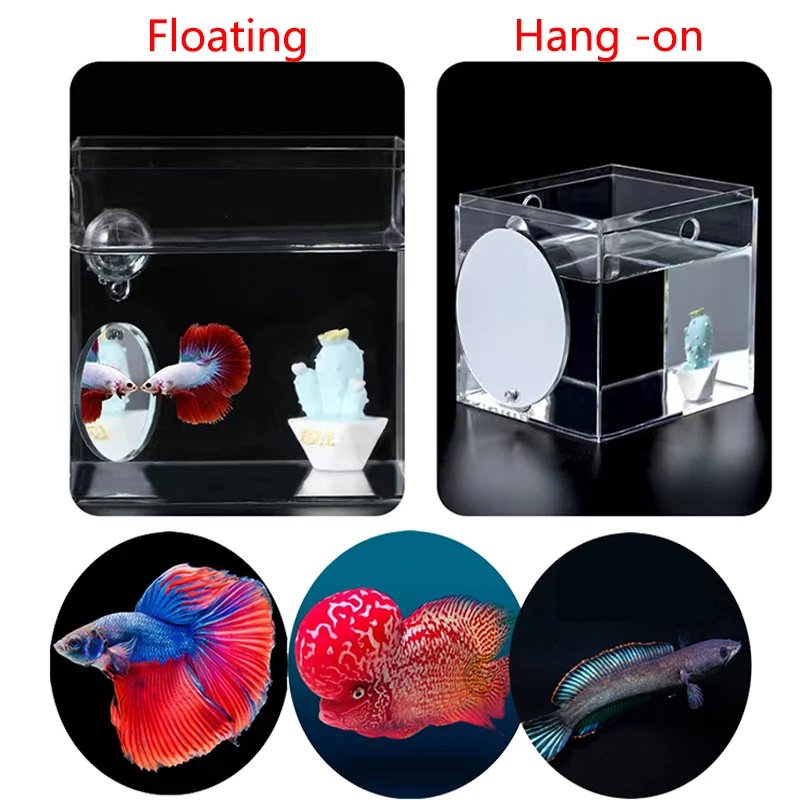 Acrylic Aquarium Betta Mirror Fish Tank Floating Round Mirror For Fish Betta Flowerhorn Cichlid Training