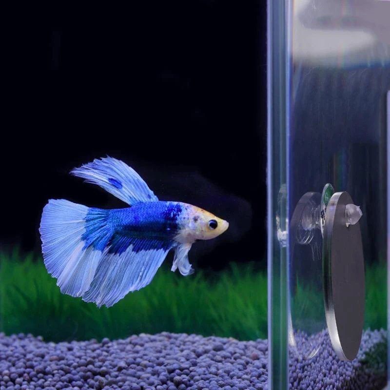 Acrylic Aquarium Betta Mirror Fish Tank Floating Round Mirror For Fish Betta Flowerhorn Cichlid Training