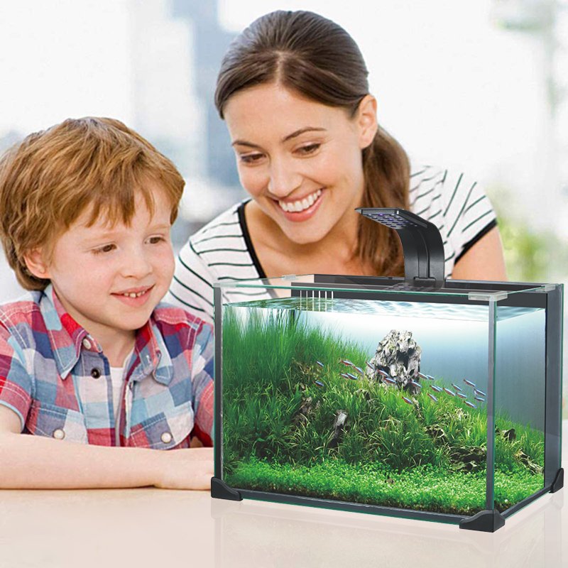 Aquariums for Fish Raising Fish Glass Aquariums with Led Light