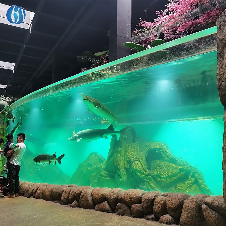 Lesheng High Standard Customized Cylindrical Acrylic Glass Aquarium, Large Cylindrical Aquarium Of Acrylic