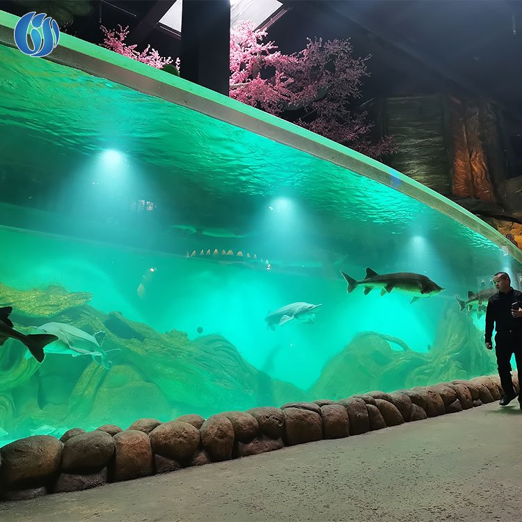 Lesheng High Standard Customized Cylindrical Acrylic Glass Aquarium, Large Cylindrical Aquarium Of Acrylic