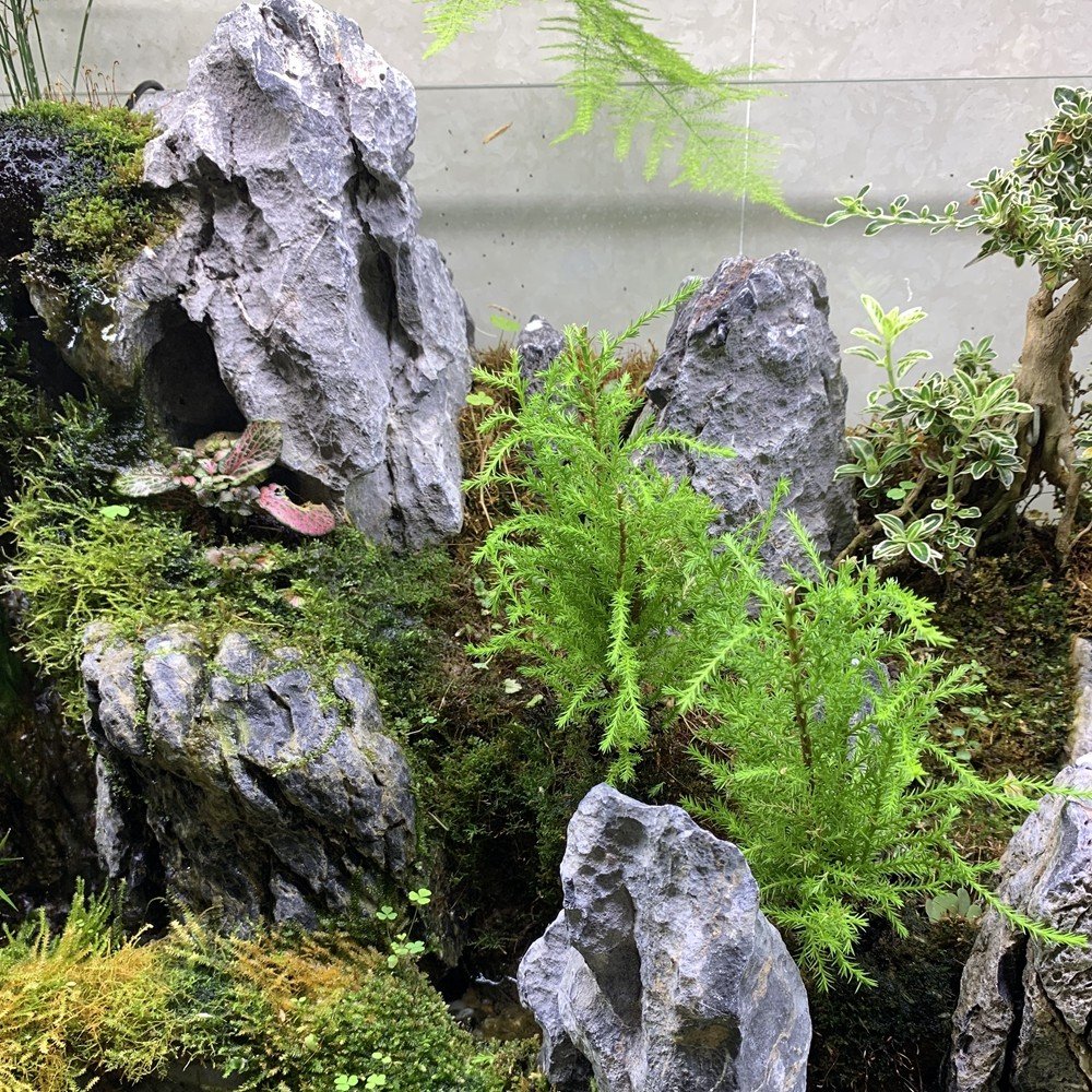 tank decoration blue dragon stone Qinglong aquarium stone wholesaler