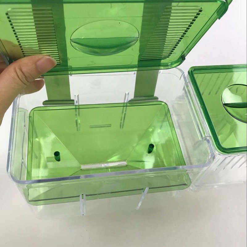 Double-Layer Plastic & Acrylic Aquarium Incubator Breeding Box for Isolation & Accessories