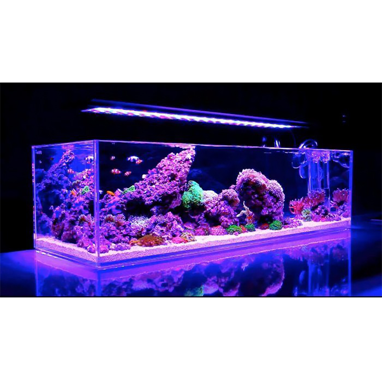 1000 Liter Water Fish Tank Freshwater Aquariums With Acrylic, Akvaryum Aquarium Acrylic#