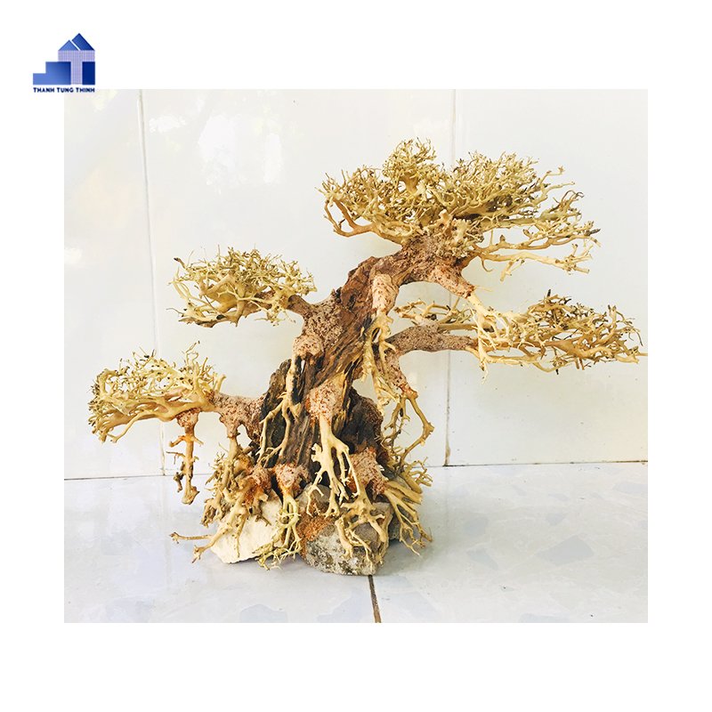 Hot products Vietnamese Aquatic bonsai driftwood aquarium accessories WhatsApp: +84 961005832