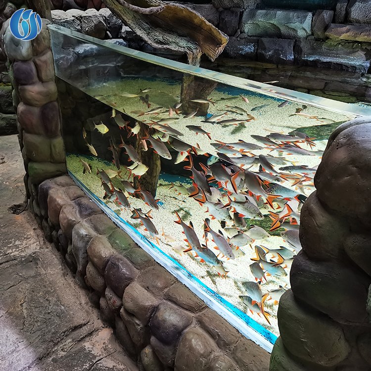 Lesheng Factory Direct Sale Clear Cylindrical Acrylic Aquarium 2024New Products Clear Large Acrylic Fish Tank