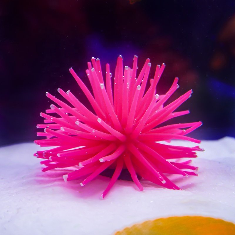 Wholesale Simulation Silicone Sea Urchins Fish Aquarium Aquascape Colorful Soft Aquarium Ornaments pet/aquarium tank decoration