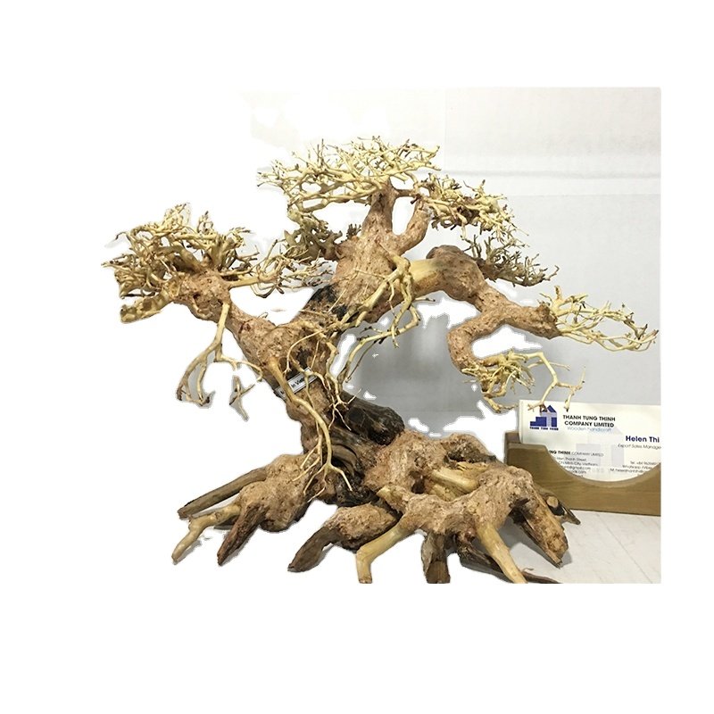 New Design 2024 Bonsai Driftwood For Aquarium decoration, betta fish tank ornament WhatsApp: +84 961005832