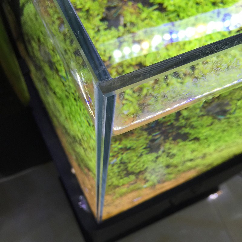 Yee Wholesale Super Clear Glass Aquarium Fish Tank 5 in 1 White Glass Small Size Aquarium Tank