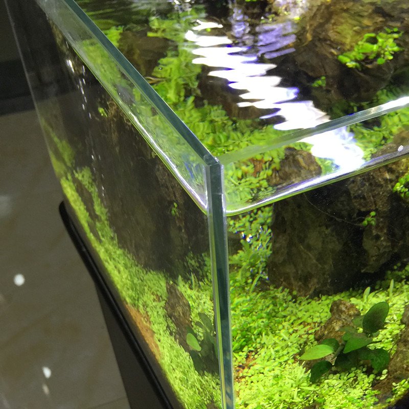 Yee Wholesale Super Clear Glass Aquarium Fish Tank 5 in 1 White Glass Small Size Aquarium Tank