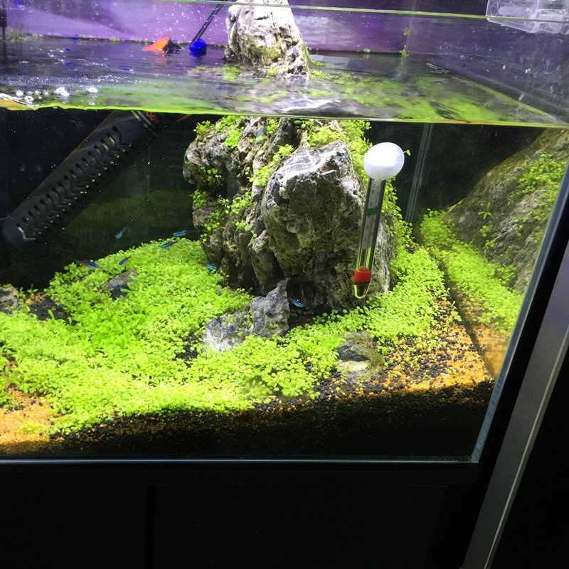 Yee Wholesale Super Clear Glass Aquarium Fish Tank 5 in 1 White Glass Small Size Aquarium Tank