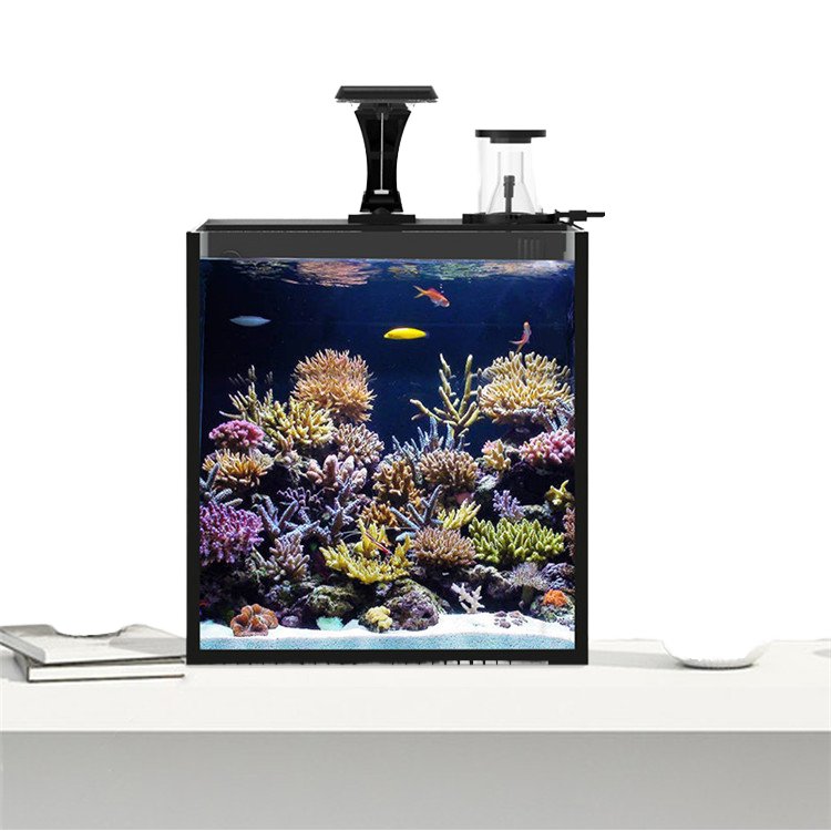 Aquariums Factory Direct Custom Acrylic Aquarium Acrylic, Acrylic Aquariums Fish Tank For Sale