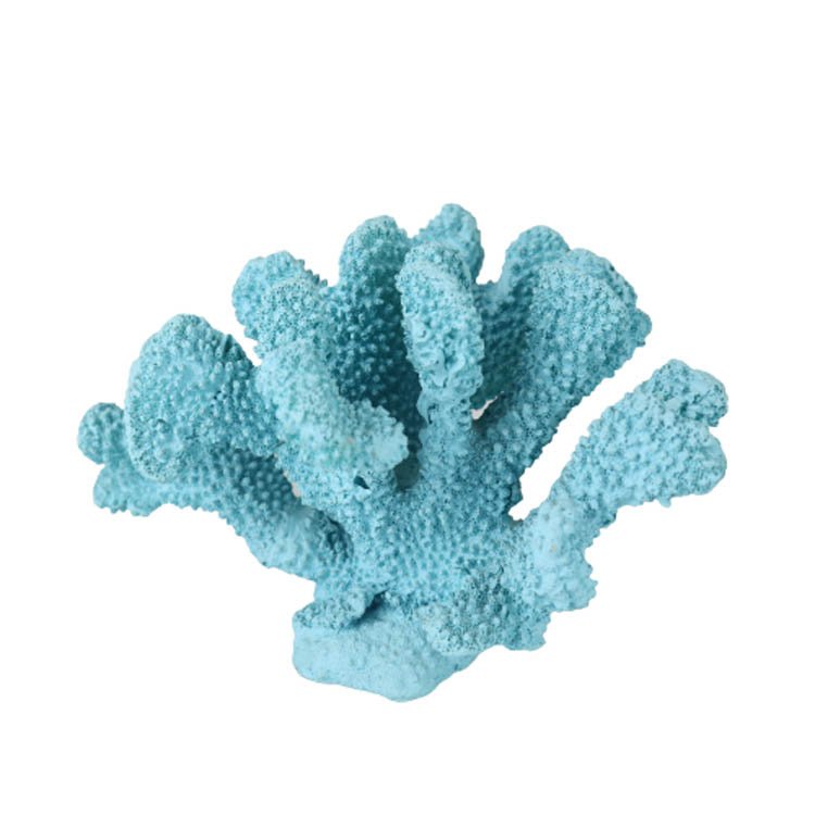 Wholesale Corals Marine Aquariums Coralli In Resina
