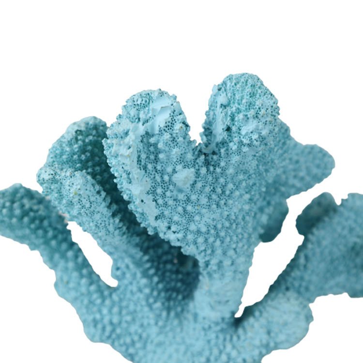 Wholesale Corals Marine Aquariums Coralli In Resina