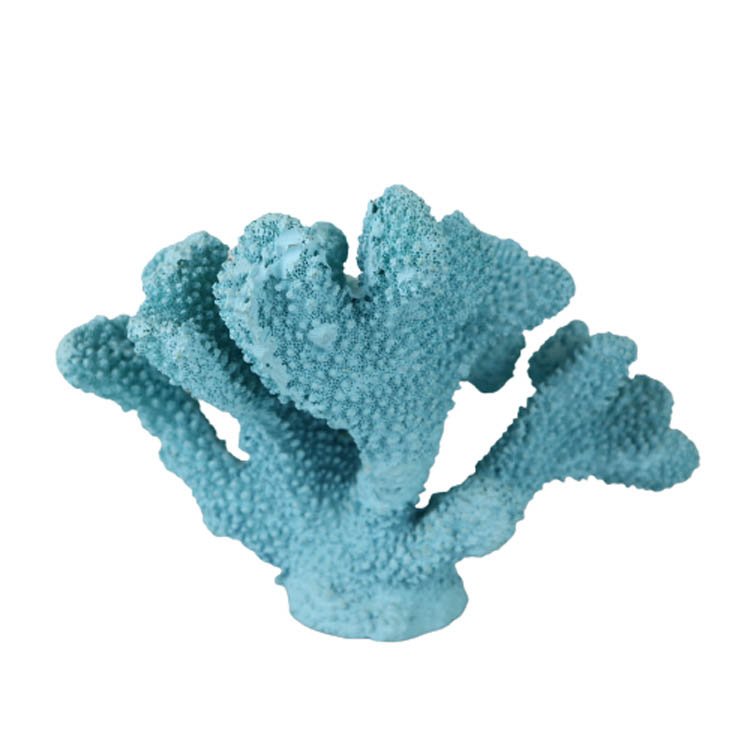 Wholesale Corals Marine Aquariums Coralli In Resina