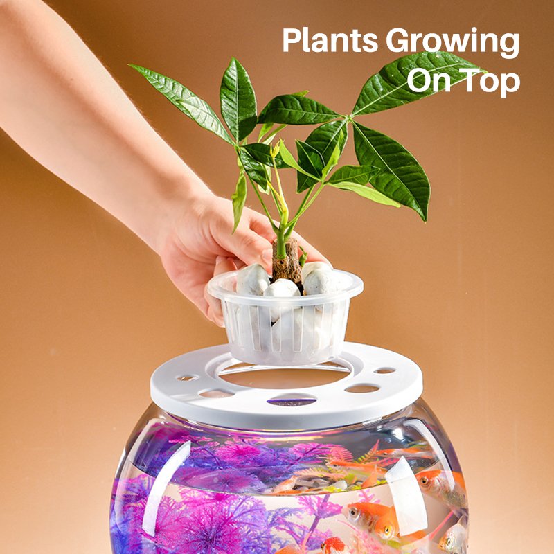 Plastic MINI Nano Fish Tank with Plants On Top for Betta Fish Goldfish Hydroponics Cleaning Transparent Turtle Tank Aquarium