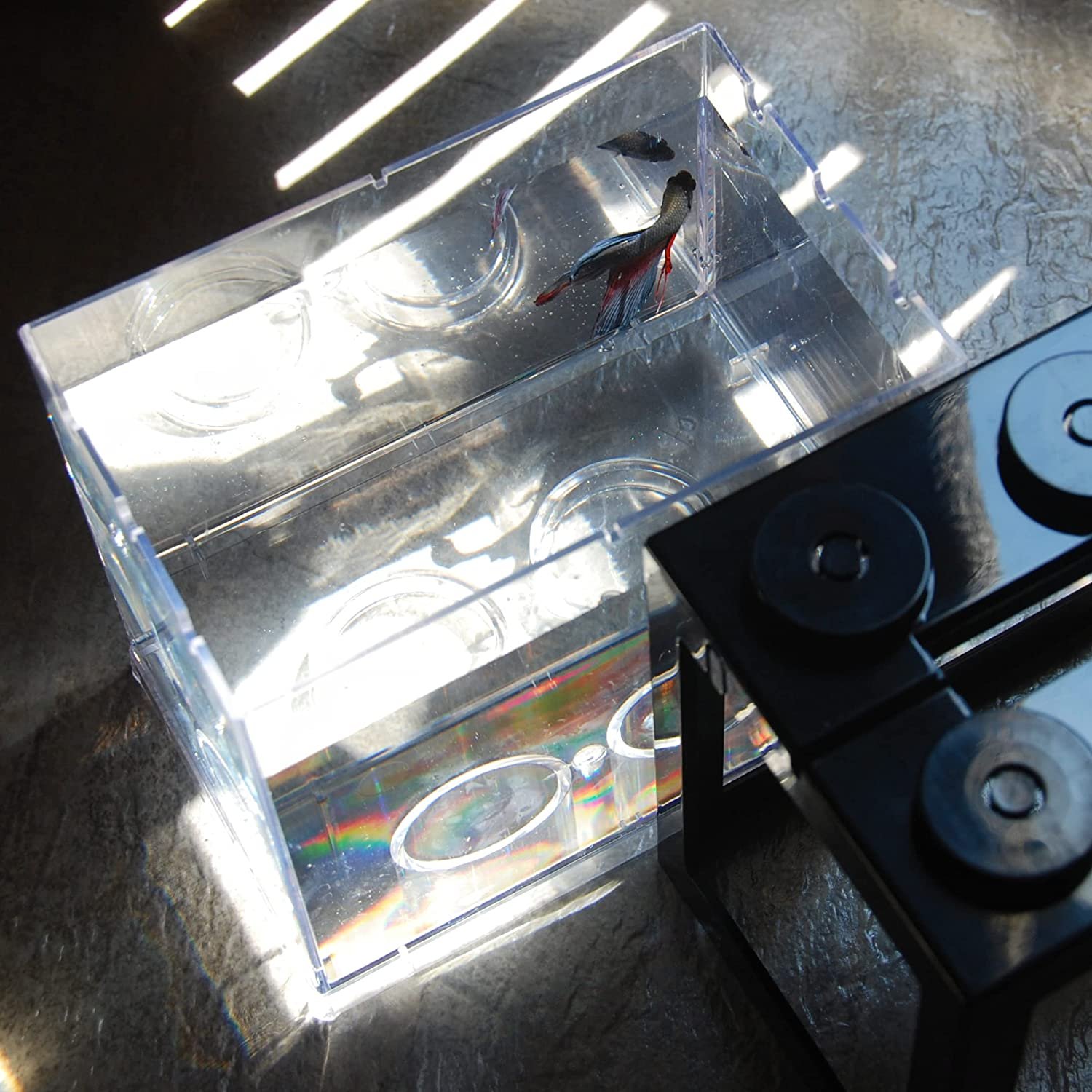 Mini aquarium betta fish tank with USB LED lighting small aquarium office viewing transparent acrylic fish tank