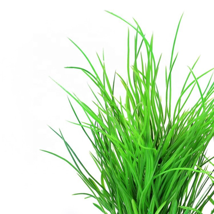 Aquarium Artificial Plants.Ecological Plants.Plastic Artificial Plants aquariums & accessories other aquarium decor