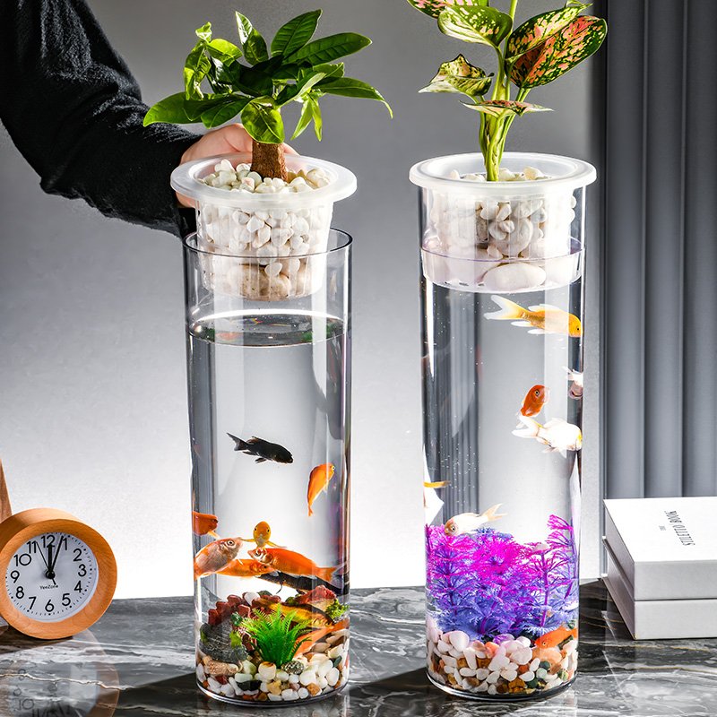 Hot Selling Small Aquarium Ornaments Glass and PET Material round PVC Fish Tank for Growing Plants for Fish Pond