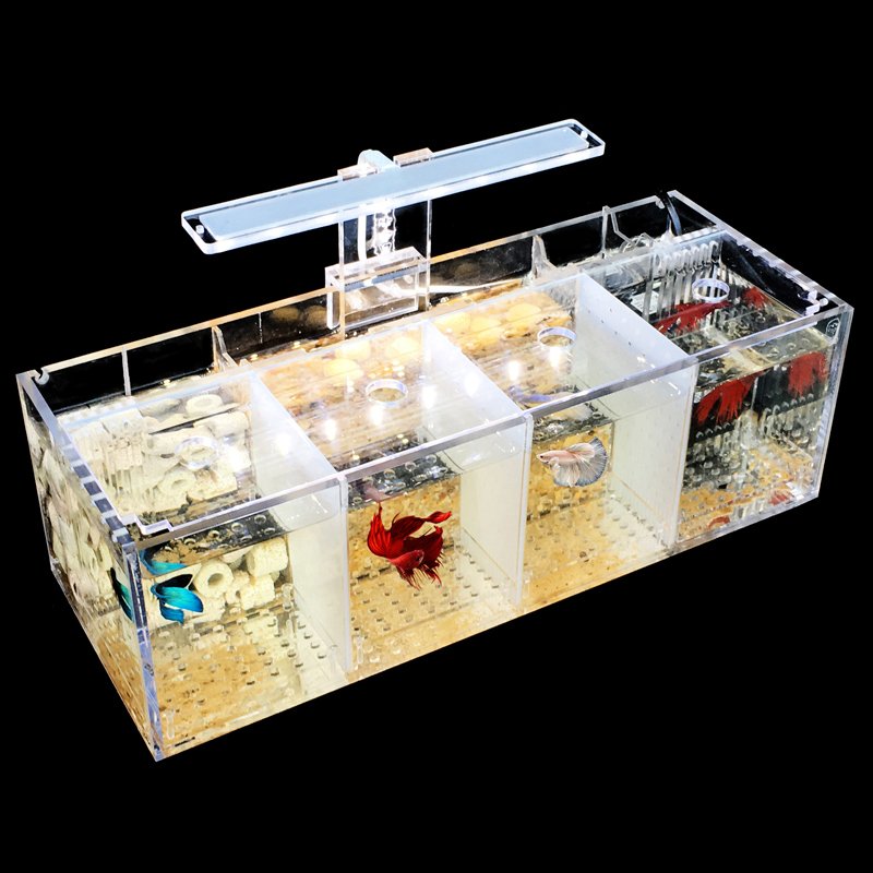 220V Betta Fish Tank Breeding Incubator Isolation Box Water-free Desktop Small Acrylic Ecological Aquarium Tank