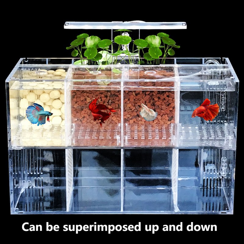 220V Betta Fish Tank Breeding Incubator Isolation Box Water-free Desktop Small Acrylic Ecological Aquarium Tank