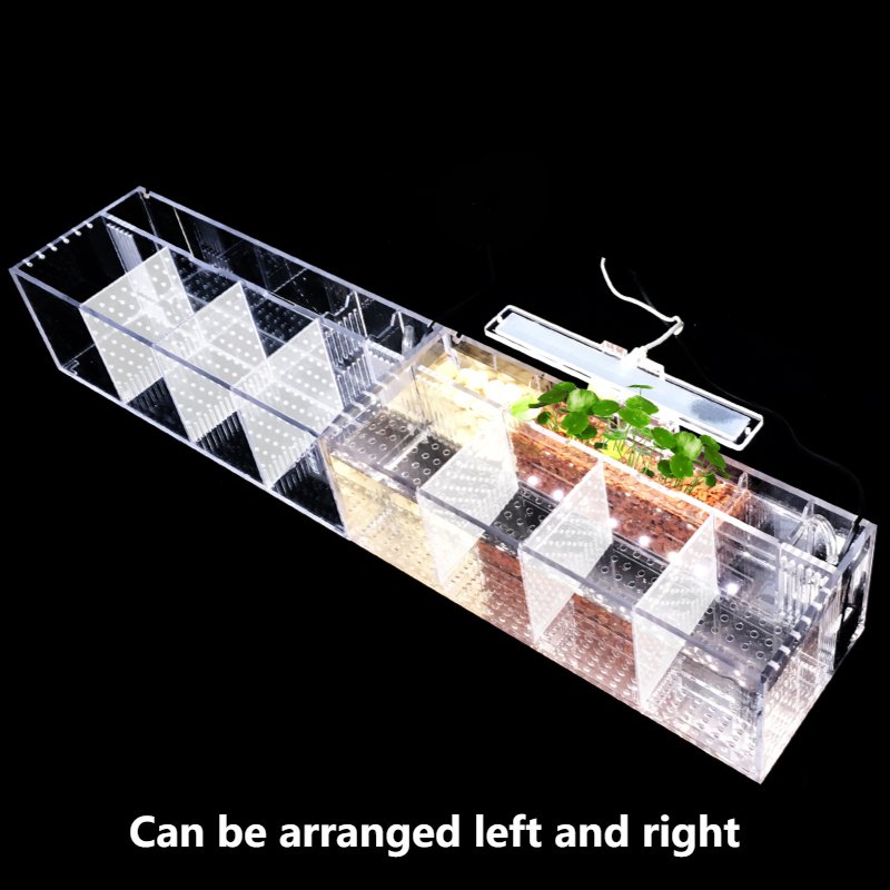 220V Betta Fish Tank Breeding Incubator Isolation Box Water-free Desktop Small Acrylic Ecological Aquarium Tank