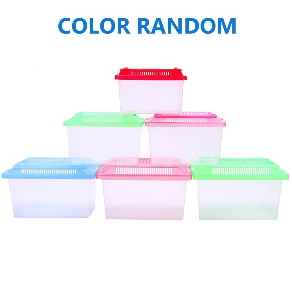 Portable Fish Tank Handheld Plastic Fish Tank Transparent For Traveling Breathable Design Small Aquarium For Turtle and Pet Fish