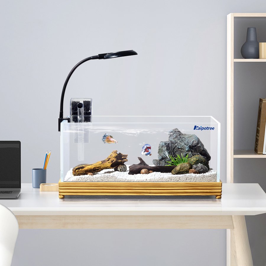 Custom Mini Fish Tanks tabletop acrylic or glass saltwater marine desktop small aquarium betta guppy fish tank