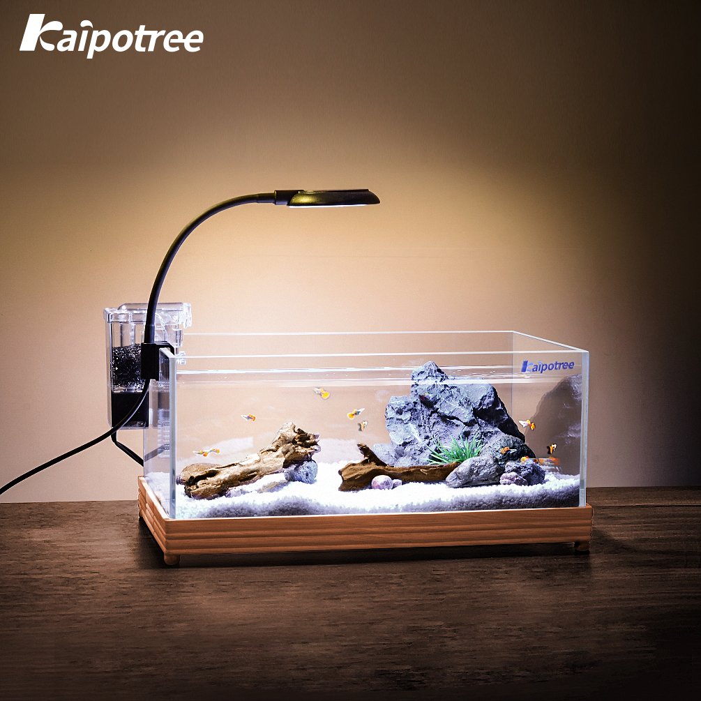 Custom Mini Fish Tanks tabletop acrylic or glass saltwater marine desktop small aquarium betta guppy fish tank
