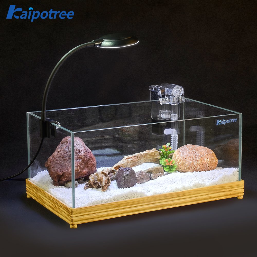 Custom Mini Fish Tanks tabletop acrylic or glass saltwater marine desktop small aquarium betta guppy fish tank