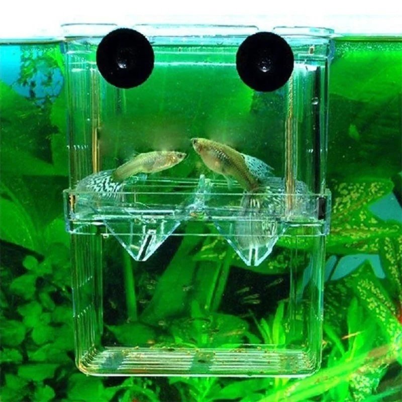 Multifunctional Fish Aquarium Fish Breeding Isolation Box Aquarium Breeder Fish Tank Double Guppies Hatching Incubator