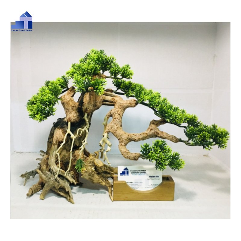 2024 Hot Items Bonsai Driftwood for betta fish tank decoration handmade product from Vietnam manufactory WhatsApp: +84 937545579