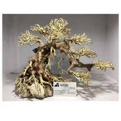 Natural