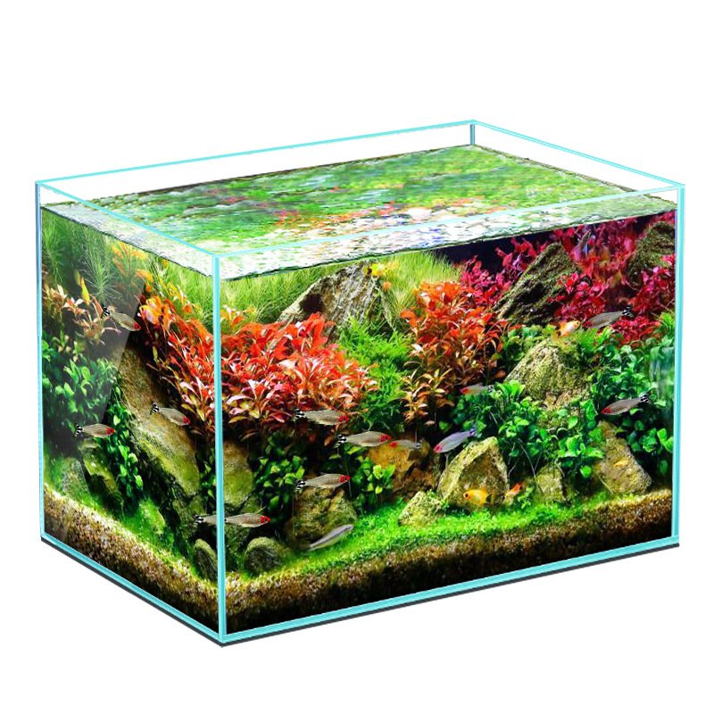 New product new design living room fish tank landscape aquarium fish tank
