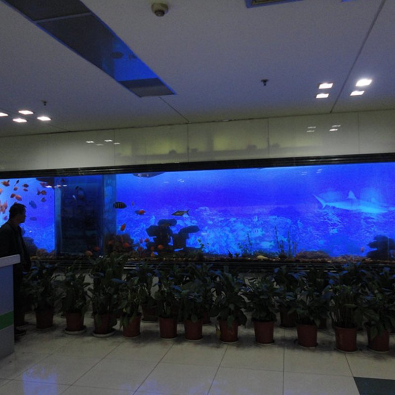 Customized large transparent cube acrylic glass cylinder fish tank aquariums