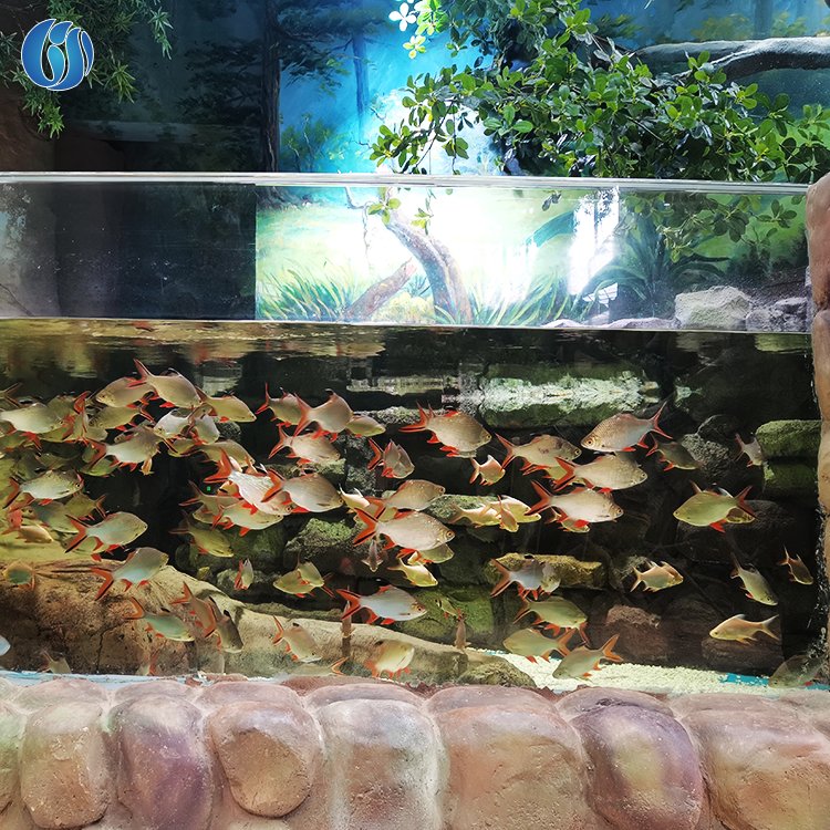Lesheng High Quality Factory Direct Sale Customized Acrylic Aquaruium Tank, Acrylic Aquarium Tank With Big Size@