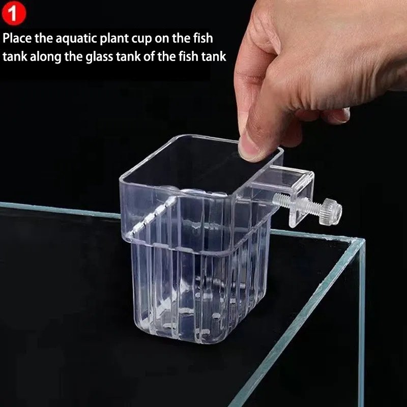 Innovative Wall Hanging Fish Tank Decor with Hydroponic Plant Holders