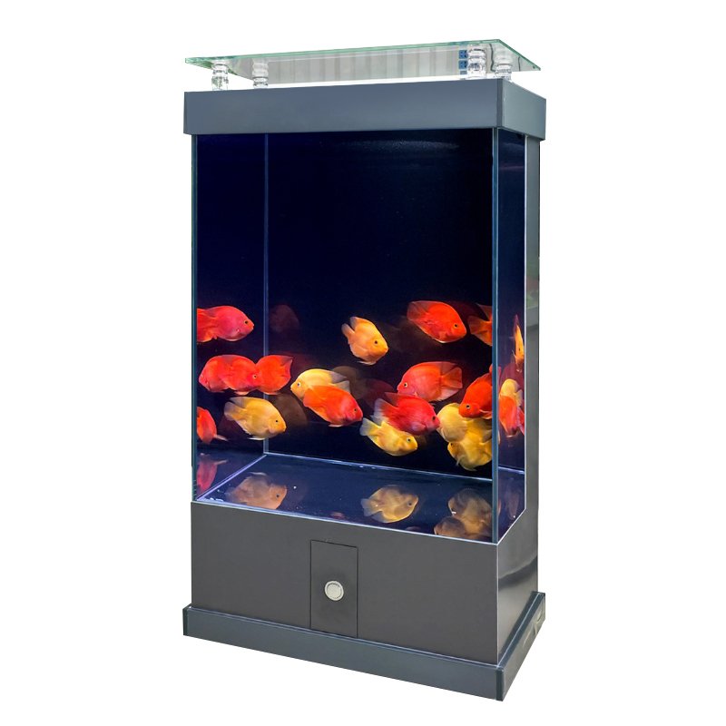 Custom Clear Cylinder Square big fish tanks large aquarium for home decoration fish tank aquarium