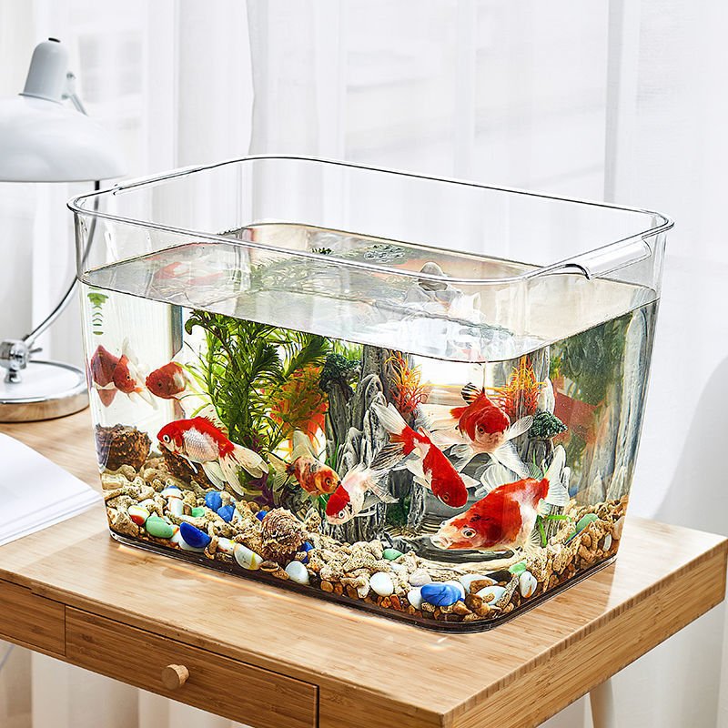 Custom transparent home plastic fish farming aquaponics tank wholesale cheap fish tank aquariums with lid