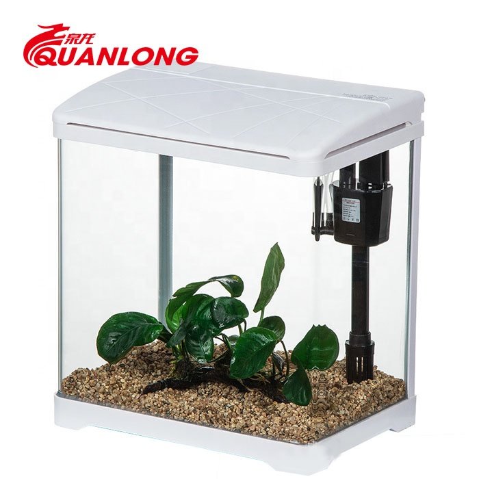 Small white glass aquarium fish tank fish aquarium