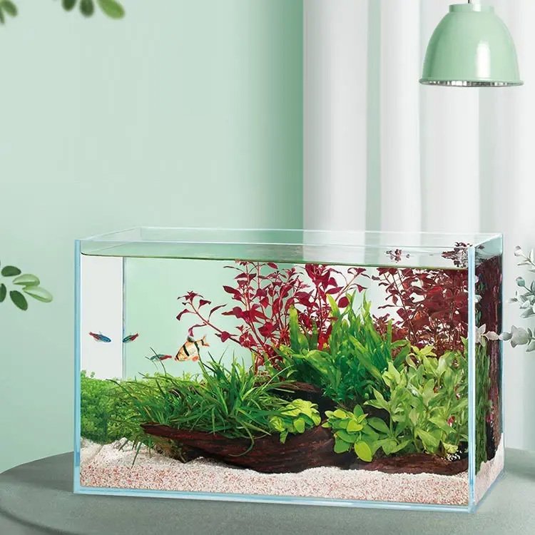 Factory Price All Types Customized Glass Aquarium 5 In 1