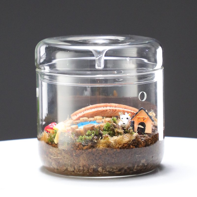 Garden pots planters wabi kusa terrarium glass vases various size terrarium glass containers for plants glass jars with lids