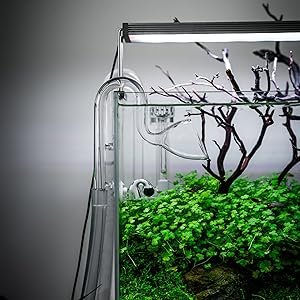 fashion Aquariums equipment Glass Lily Pipe Outflow with suckers for fish tank water Plant Tubing