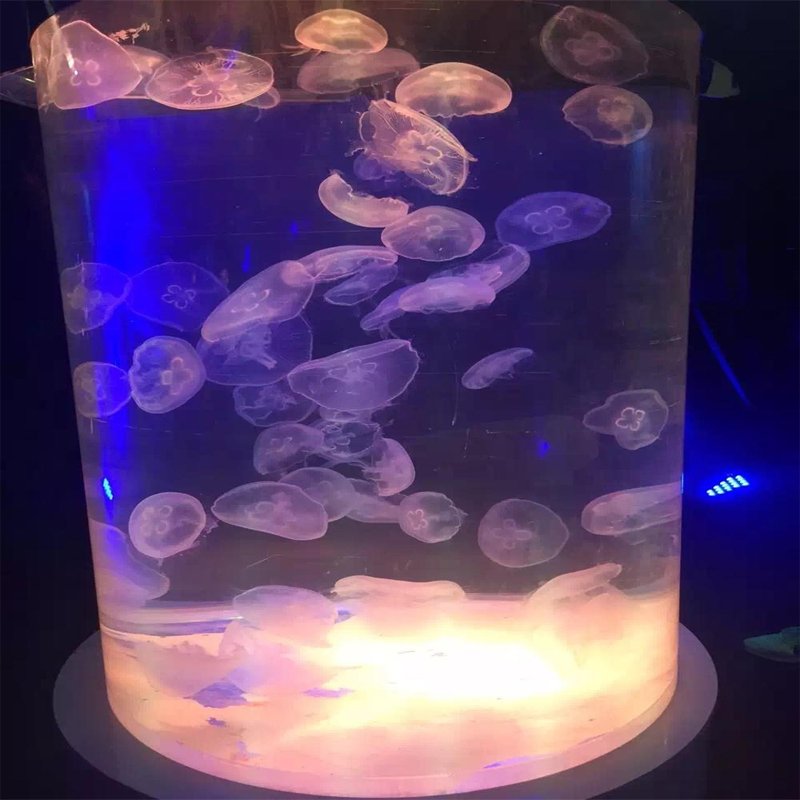 New Design Products Cylindrical Cast Acrylic Aquarium For Home Decor