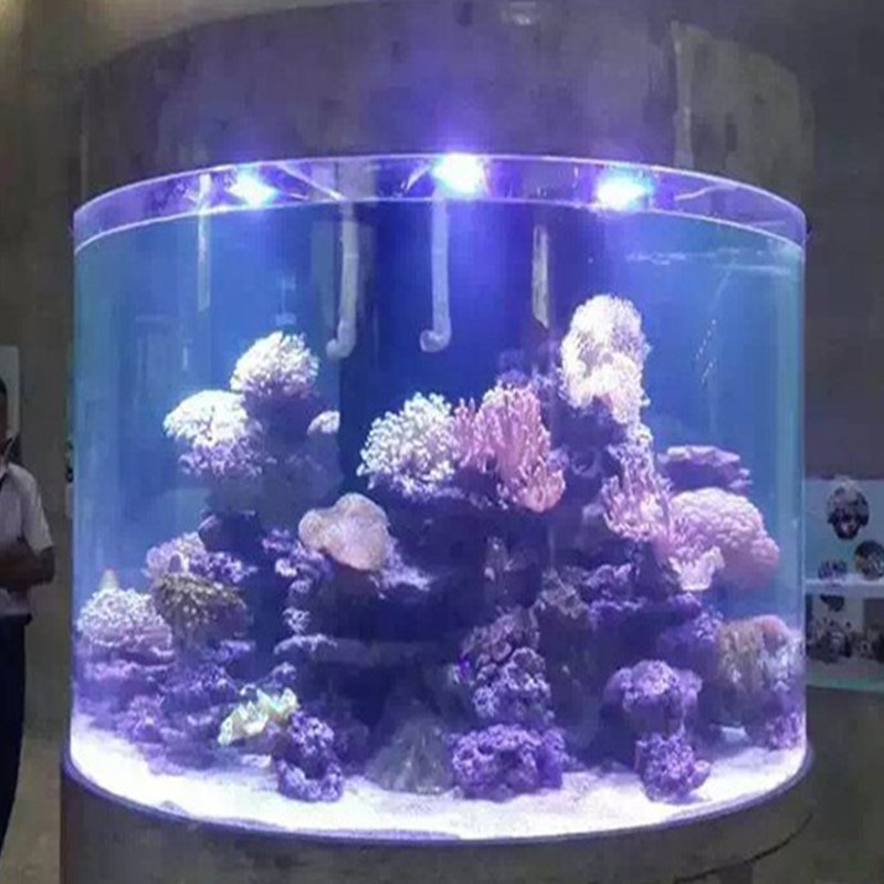 New Design Products Cylindrical Cast Acrylic Aquarium For Home Decor