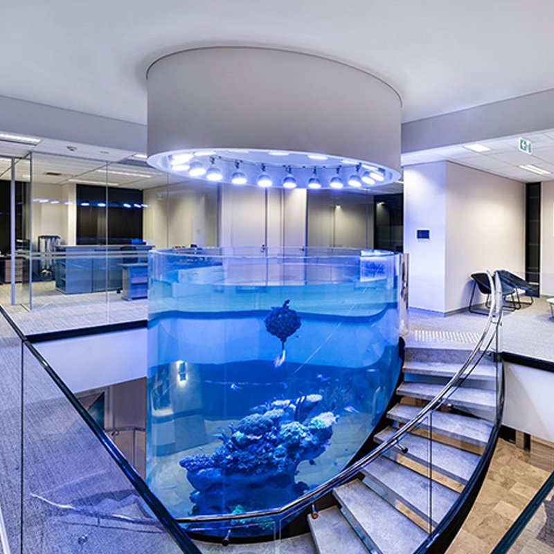 New Design Products Cylindrical Cast Acrylic Aquarium For Home Decor