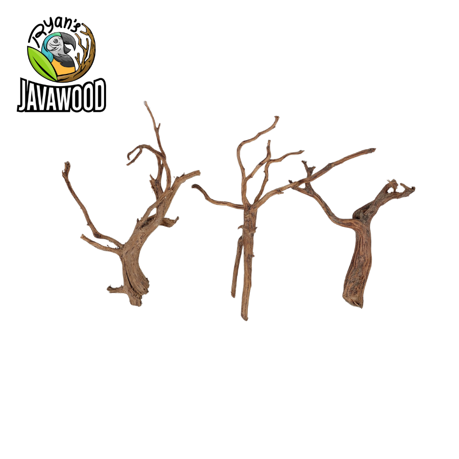 best selling spider wood for aqua scape and aquarium driftwood made by altingia excelsa from Indonesia