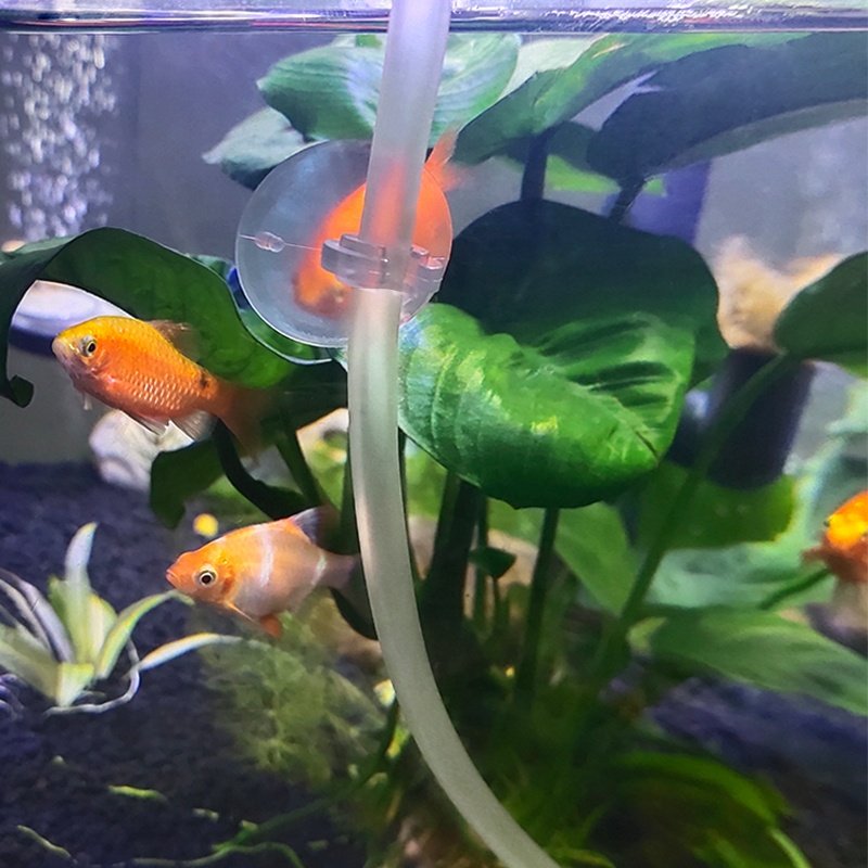 aquarium fish tank air pump accessories small powerful suction cups silicone pvc vacuum face glass tiles air pipe suction cup