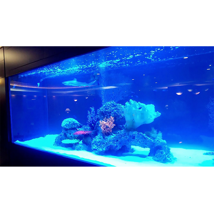 China Factory Luxury Design Customized Large Acrylic Vertical Aquarium